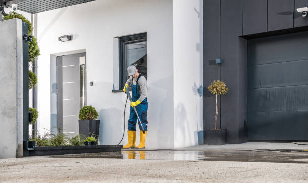 Best Roof Cleaning and Mildew Removal in Port Wentworth, GA